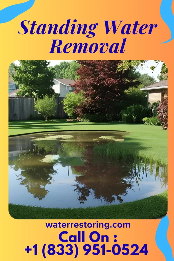 Standing Water Removal in Brownsville, TX